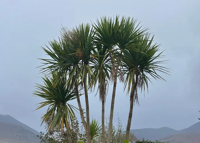 The Hideaway * Кілларні